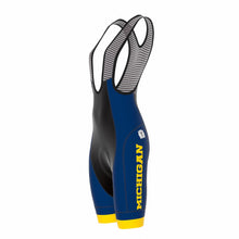 Load image into Gallery viewer, Bibshort Icon Lycra - Women
