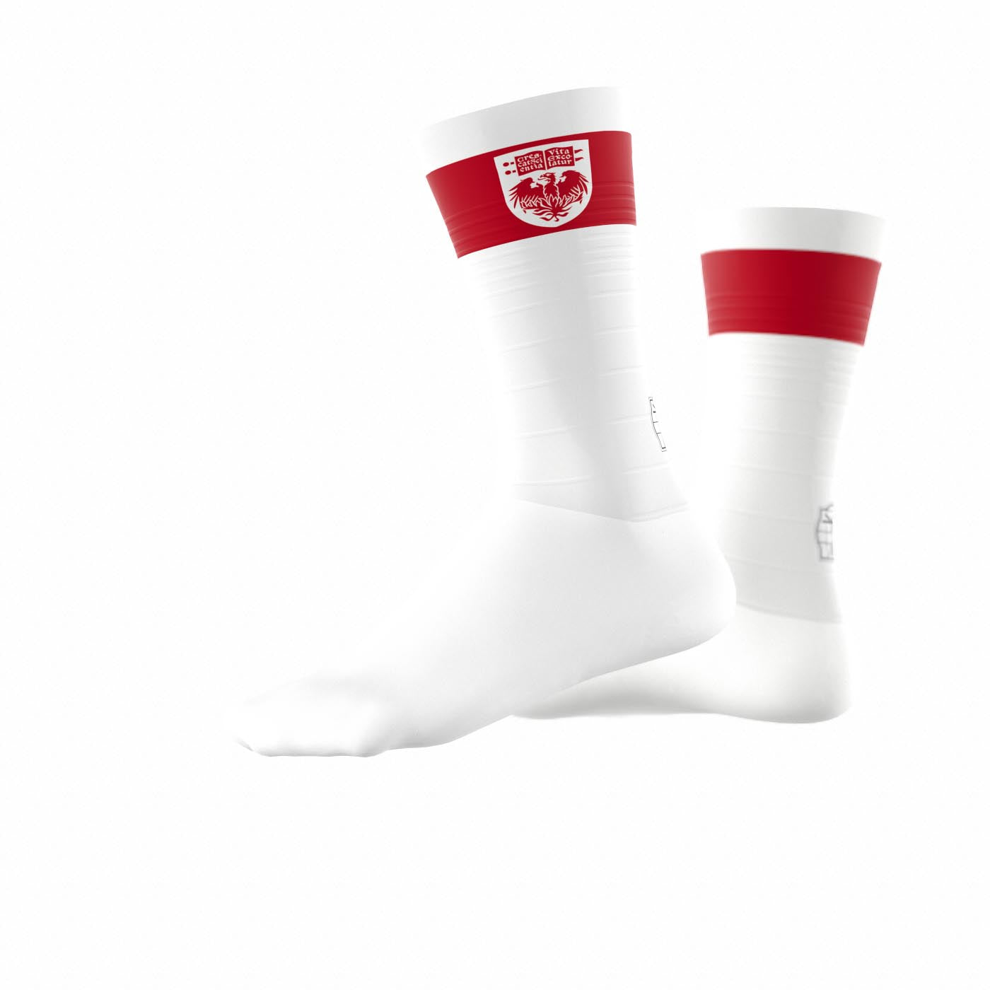 Team Speedsock Epic - Unisex