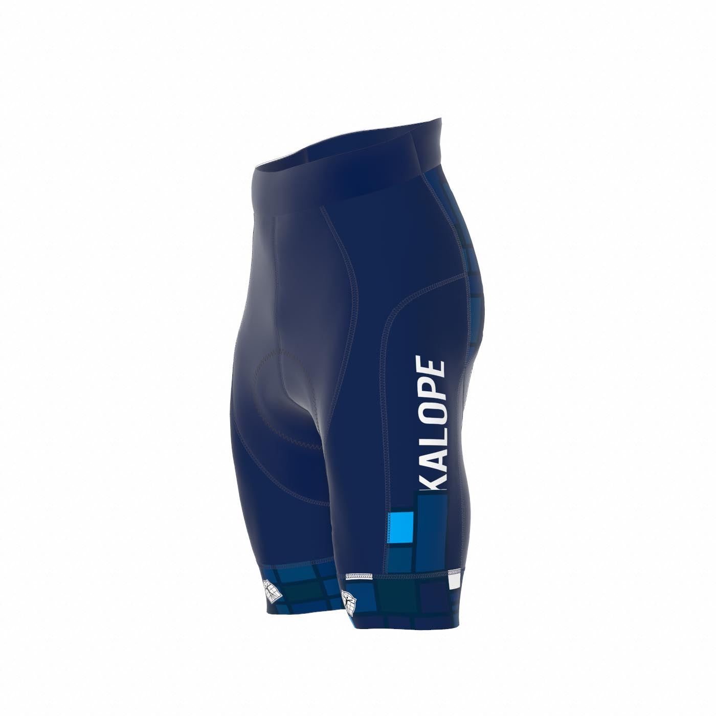 Shorts Icon Lycra - Men